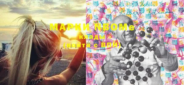 хмурый Верея