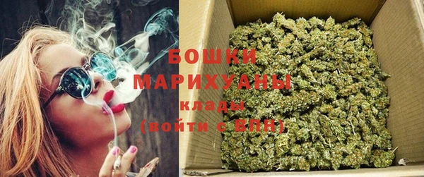 хмурый Верея