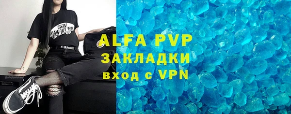 хмурый Верея