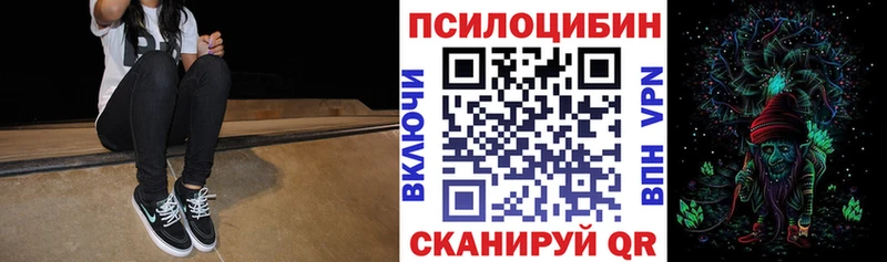 Псилоцибиновые грибы ЛСД дарк нет наркотические препараты Горно-Алтайск